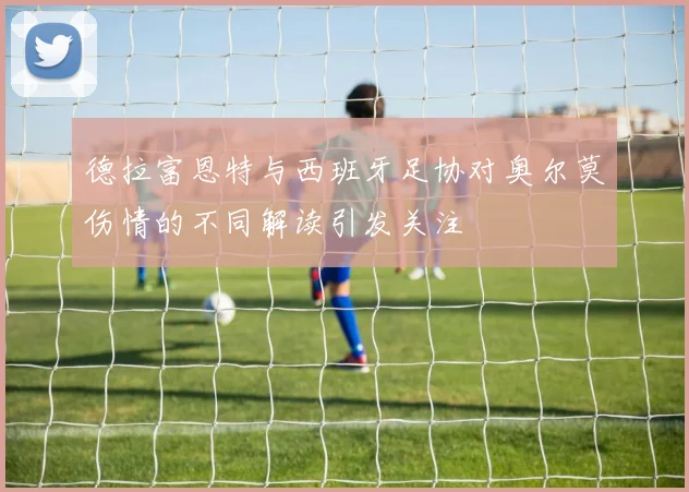 德拉富恩特与西班牙足协对奥尔莫伤情的不同解读引发关注